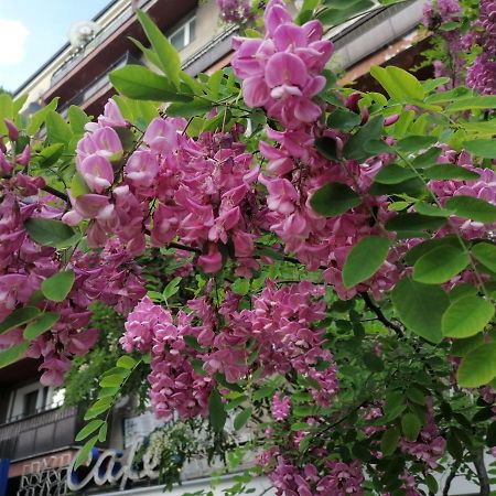 Apartmán Pulawska 53 Varšava Exteriér fotografie