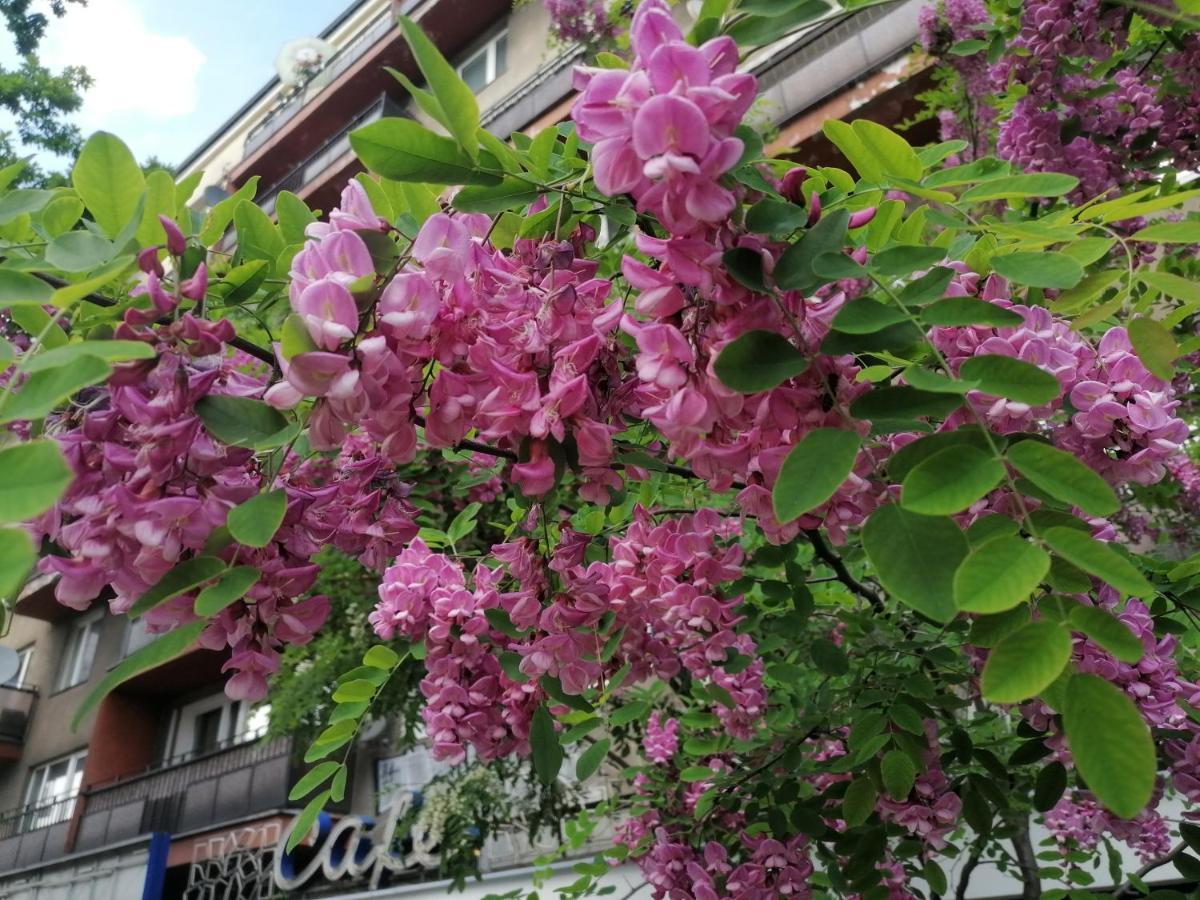 Apartmán Pulawska 53 Varšava Exteriér fotografie